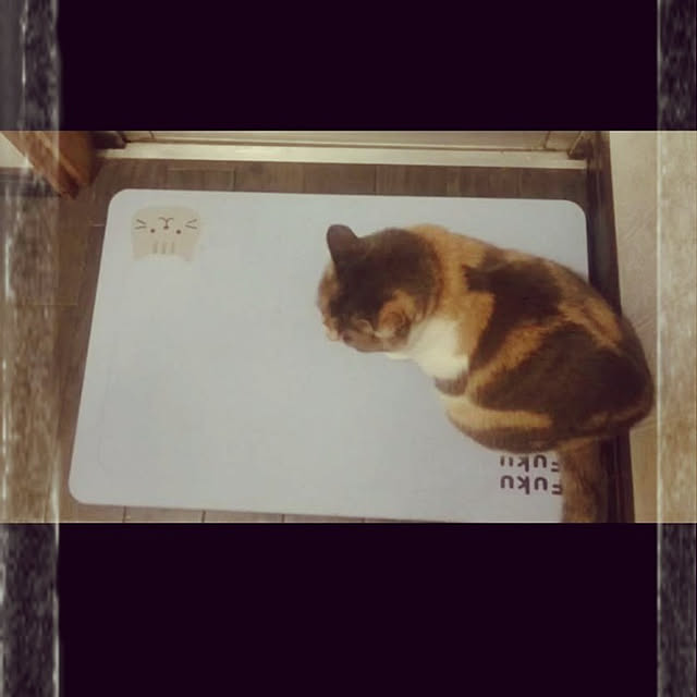 fukuさんの実例写真