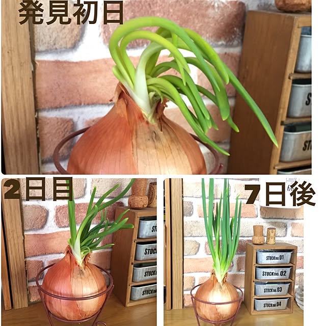 実例写真