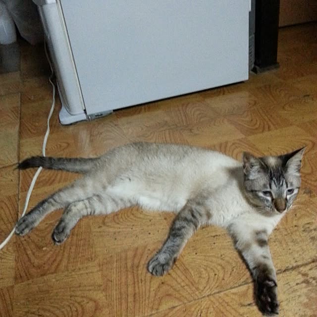 onmenさんの部屋