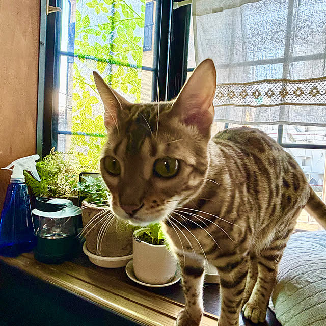 tututu0204さんの部屋