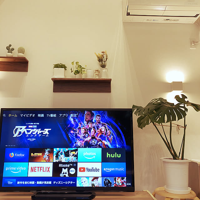 ちなみに犬飼い始めました/モンステラ/花屋さん/観葉植物のある暮らし/植物いっぱい...などのインテリア実例 - 2019-09-06 18:50:33