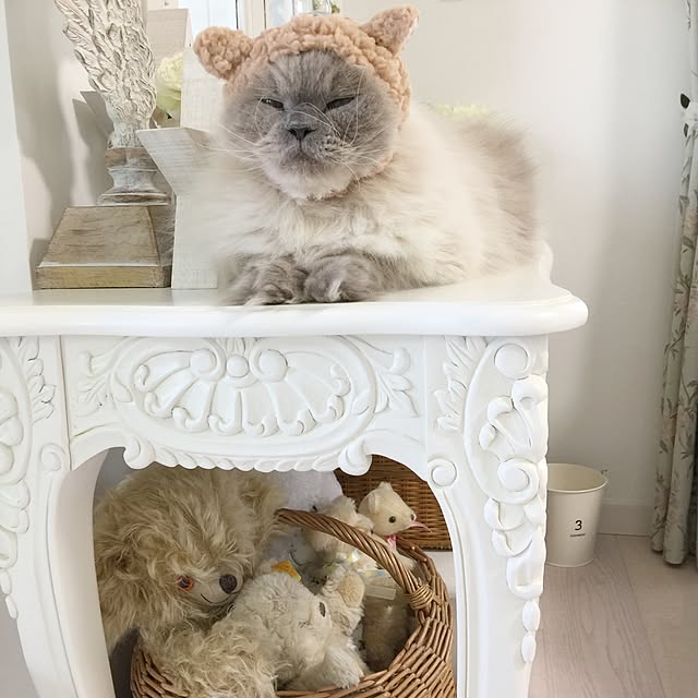 yuchiさんの実例写真