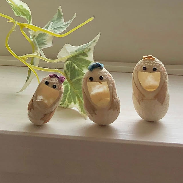 moppaさんの実例写真