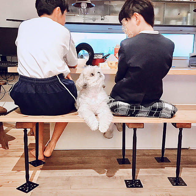 JASMINEさんの実例写真