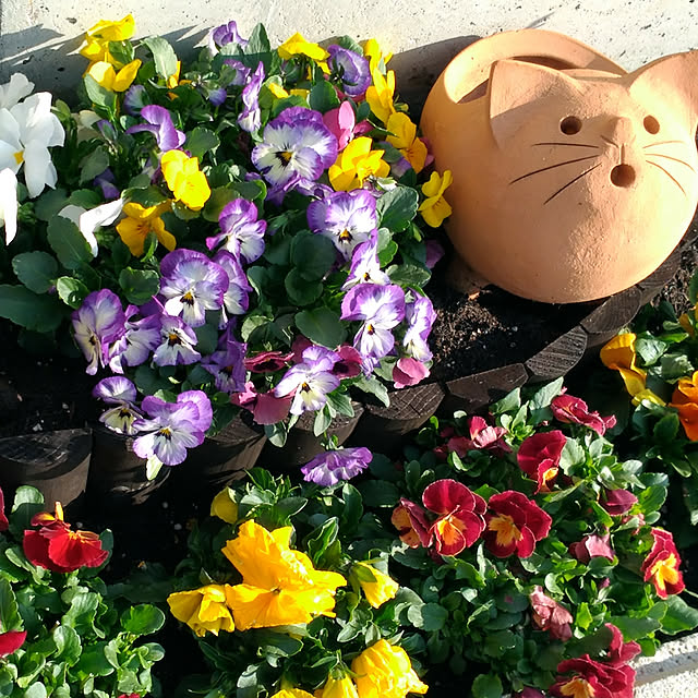 kikufujiさんの実例写真