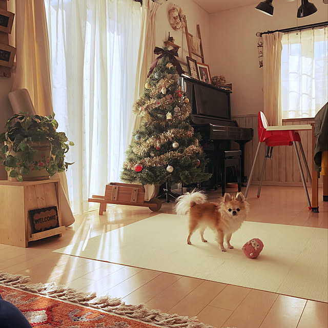konomi513さんの実例写真