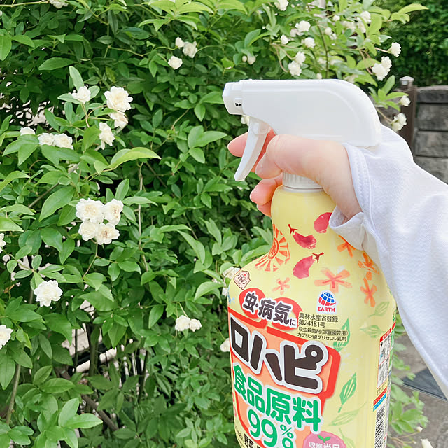 akanekoさんの実例写真