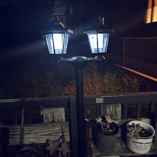Sayasseさんの実例写真