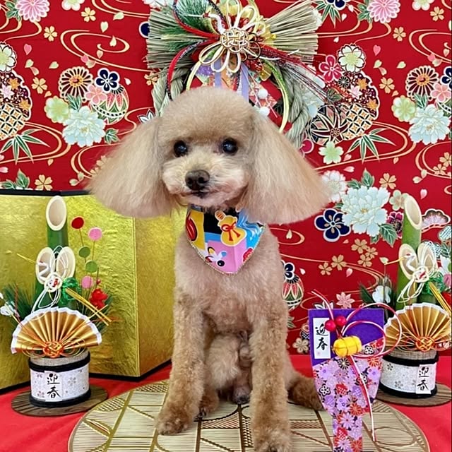 yumi.grandsaisonさんの部屋
