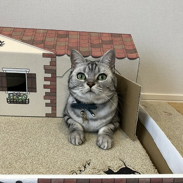 NANACOCOさんの実例写真