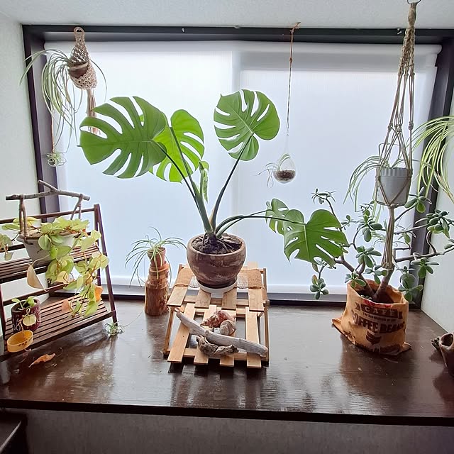 midoriさんの部屋