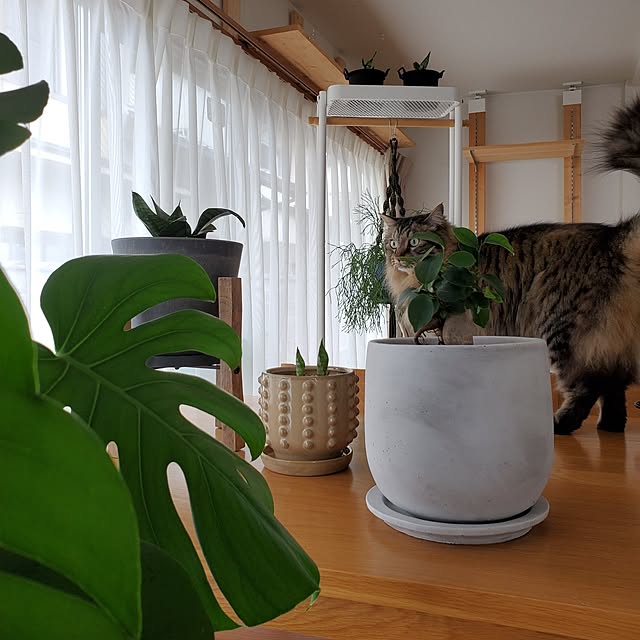 makoさんの部屋