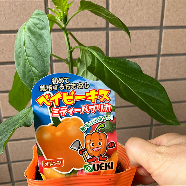 yuzuさんの実例写真