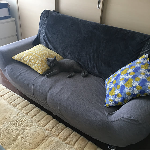 kittyさんの実例写真