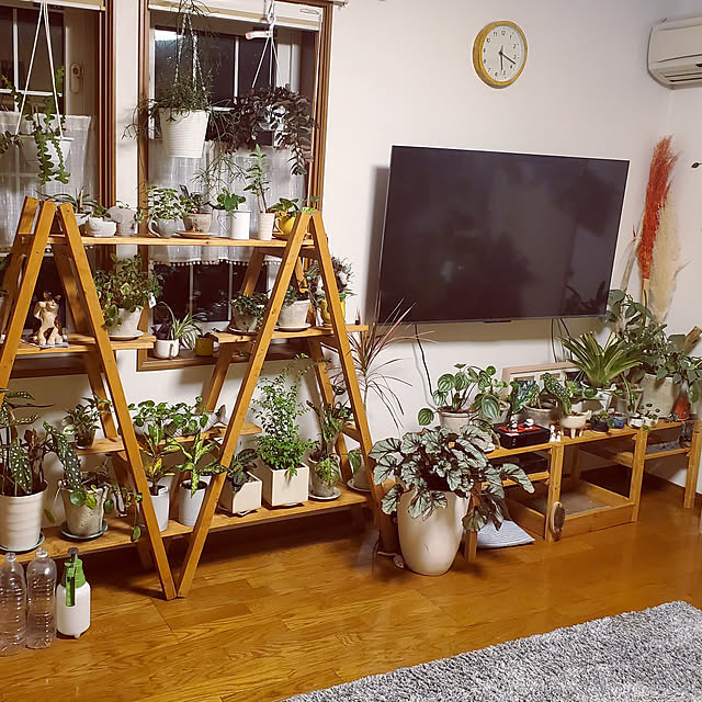 hiroさんの実例写真