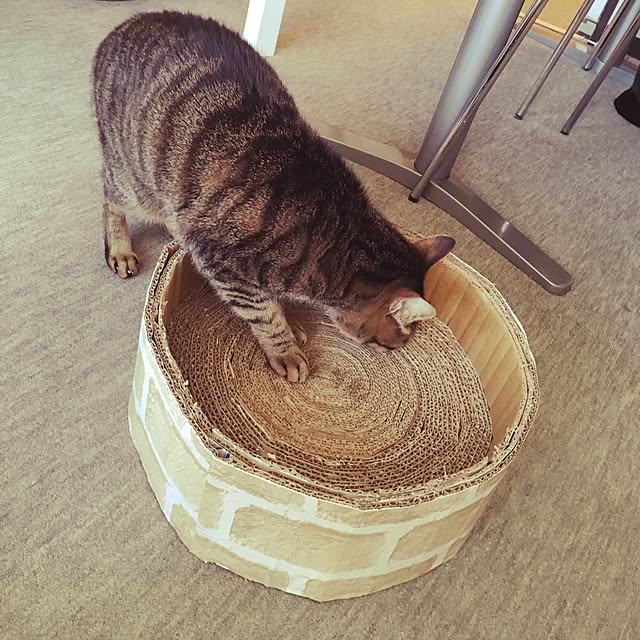 shigimiさんの実例写真