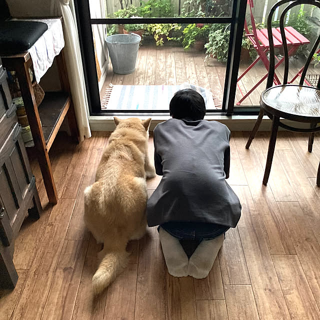 玄関/入り口/アンティークテーブル/保護犬しずく/DIY/ベランダガーデンのインテリア実例 - 2025-06-02 10:52:00