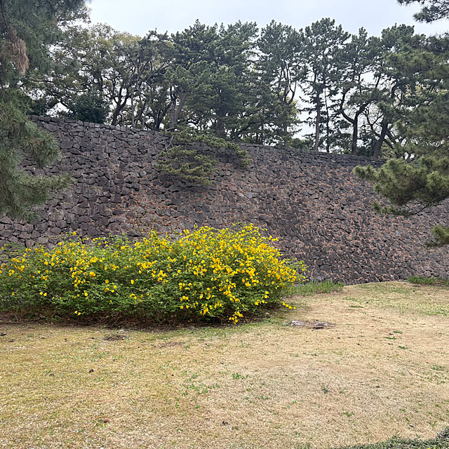 sayakaさんの部屋