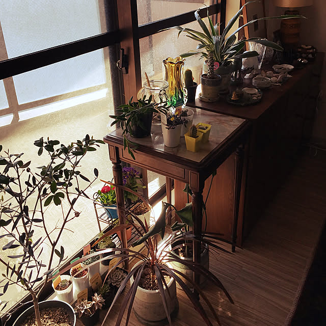 nagnov_miyuさんの実例写真