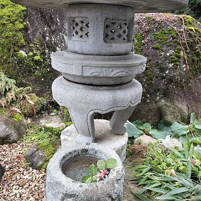 sumimarumiさんの部屋