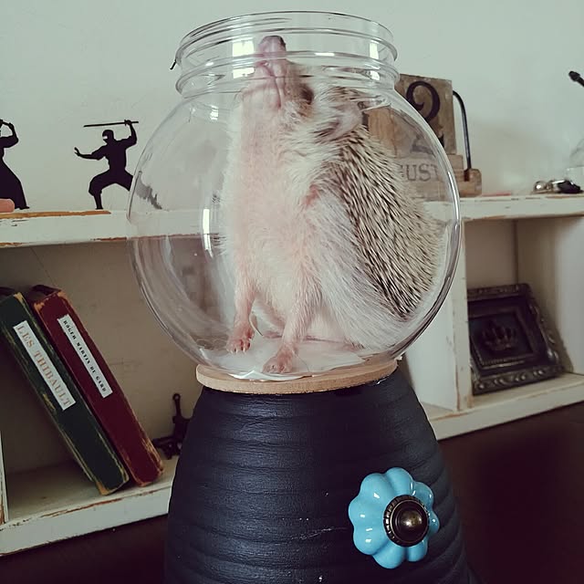 kuruさんの実例写真