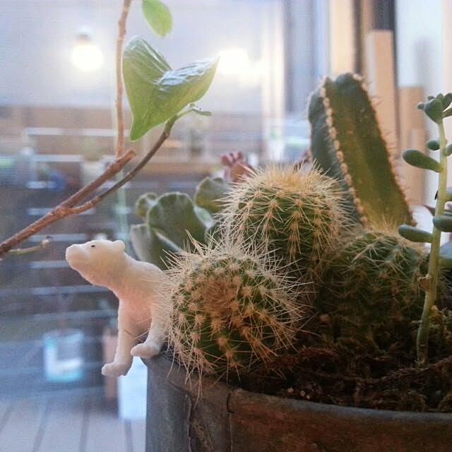 実例写真
