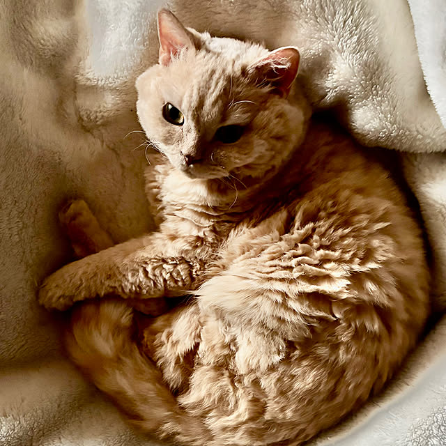 naokoさんの部屋