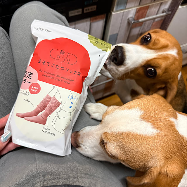 prelumoさんの実例写真