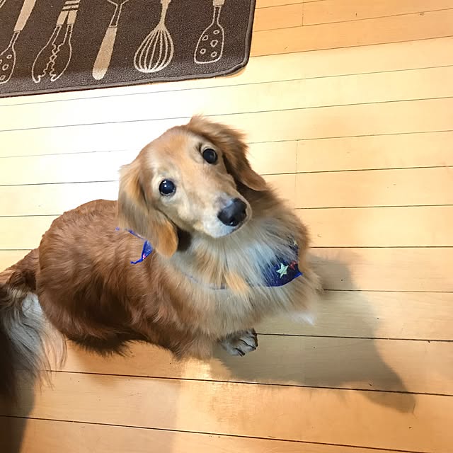 Tera620さんの実例写真