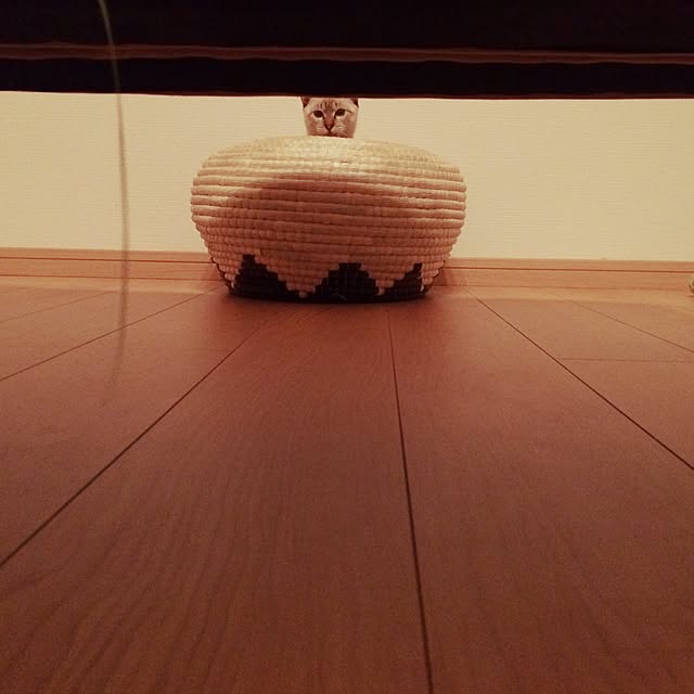 miniさんの実例写真