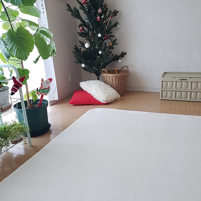 wanidaさんの実例写真