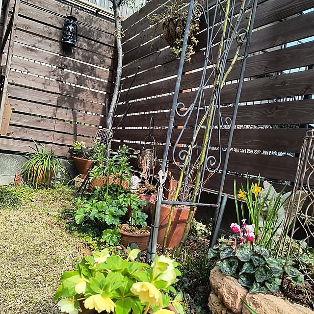 gin_mamaさんの実例写真