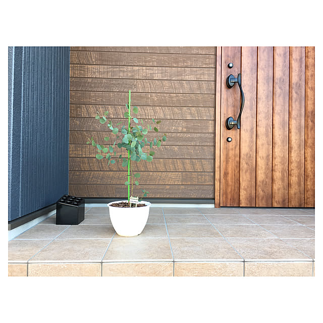 mayuさんの実例写真
