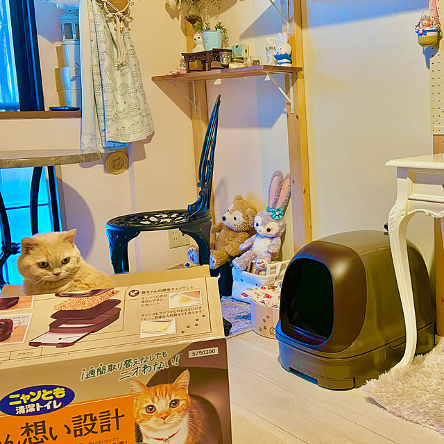 naokoさんの部屋