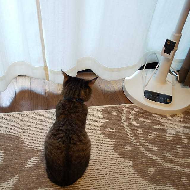 hatsuyukiさんの実例写真