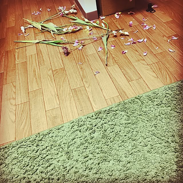 renaさんの実例写真