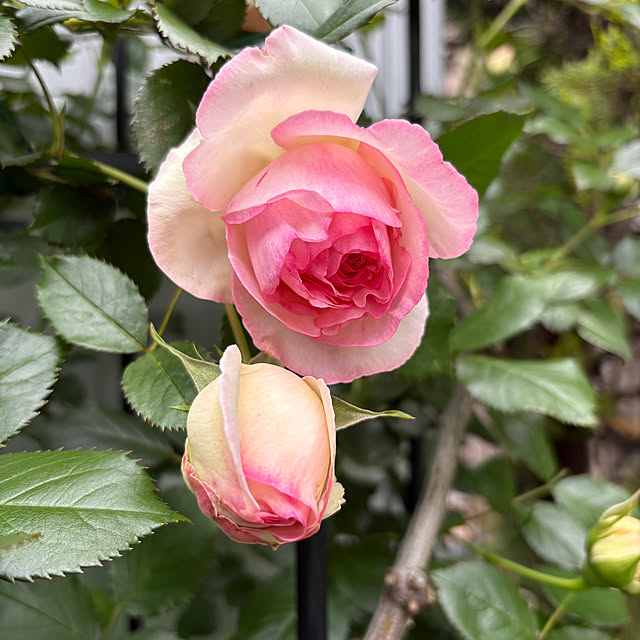 nannoさんの実例写真