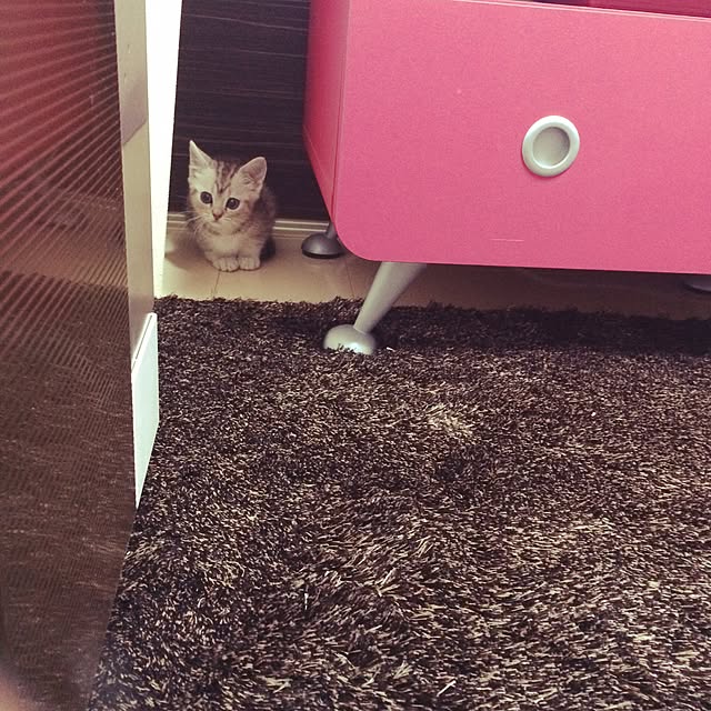 tyapitam.さんの実例写真