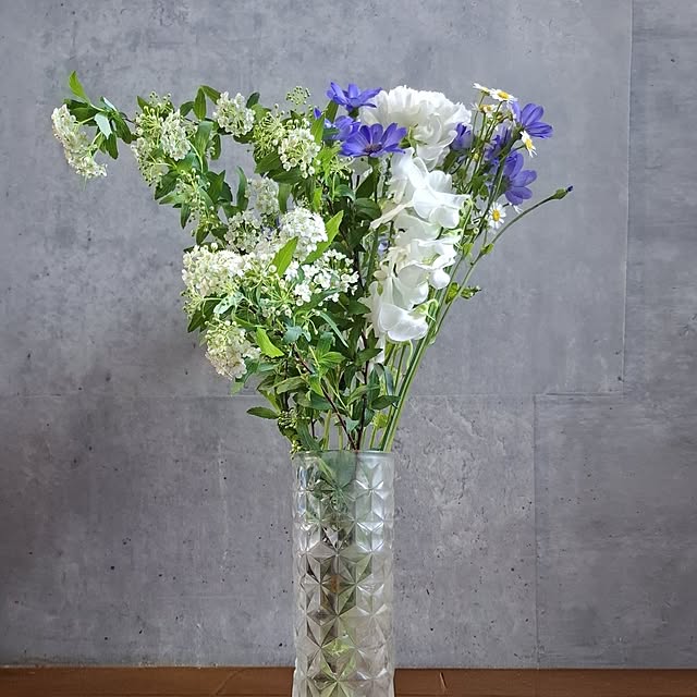 noaさんのお部屋の写真