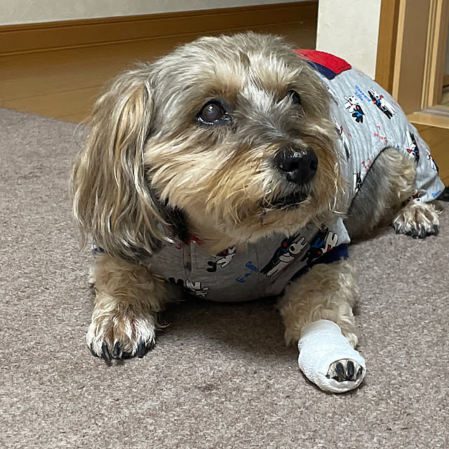 Annieさんの実例写真
