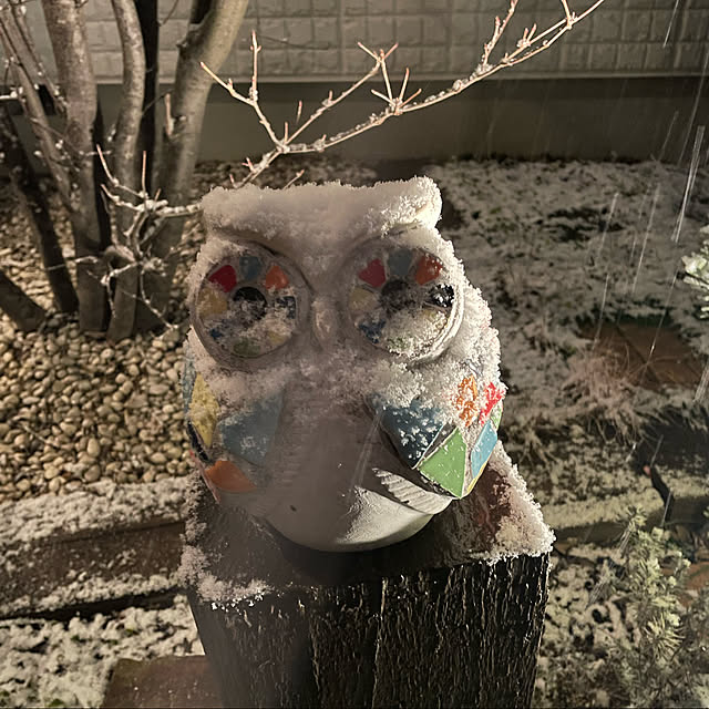kuikoさんの実例写真