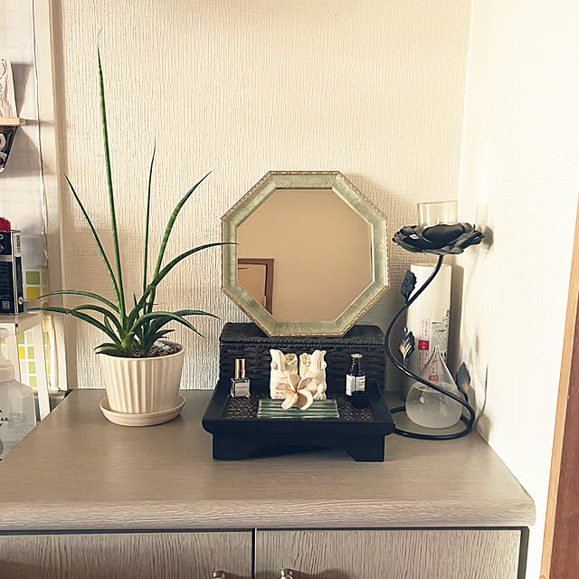 玄関/入り口/サンセベリア/観葉植物/植物のある暮らし/植物...などのインテリア実例 - 2024-03-17 23:50:36