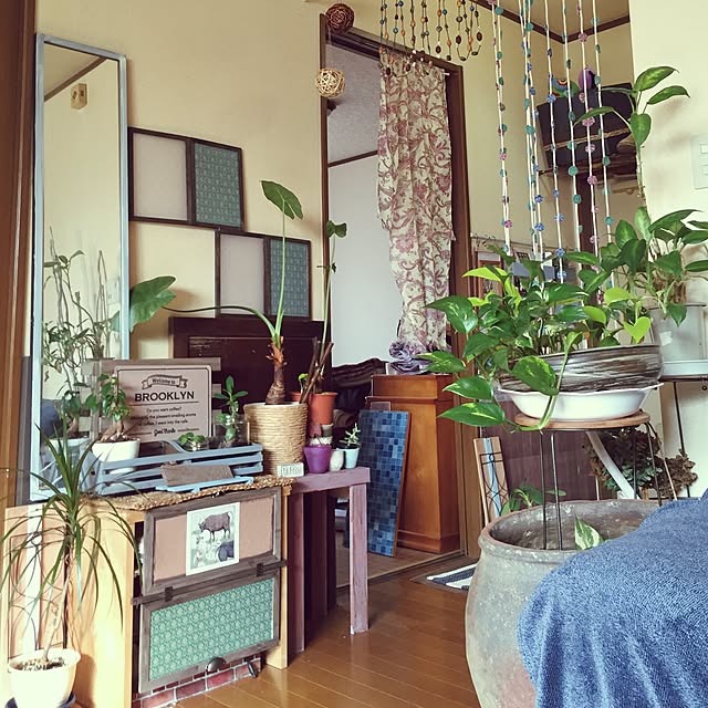 Norikoさんの実例写真