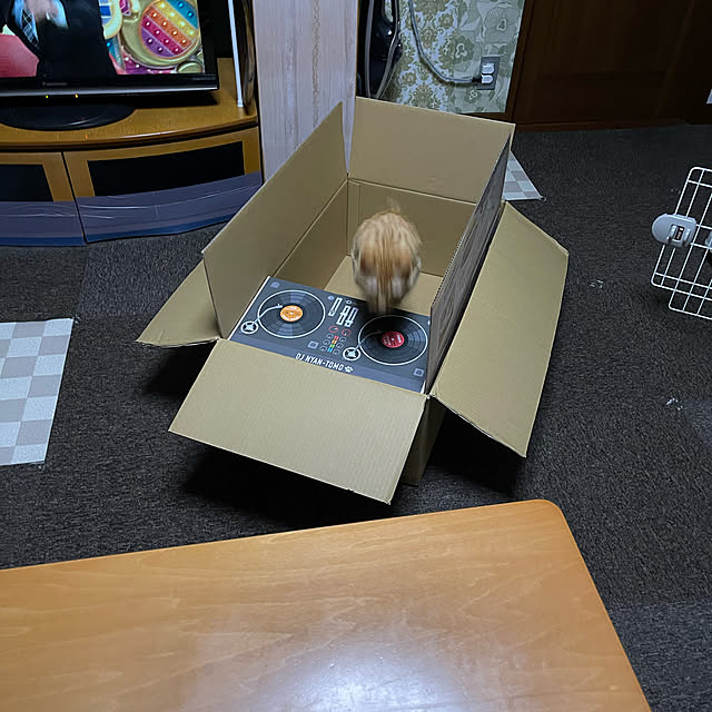 kikiさんの実例写真