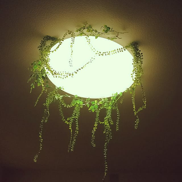 Duskuroさんの実例写真