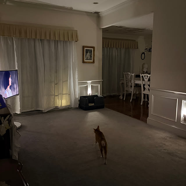 neneさんの部屋