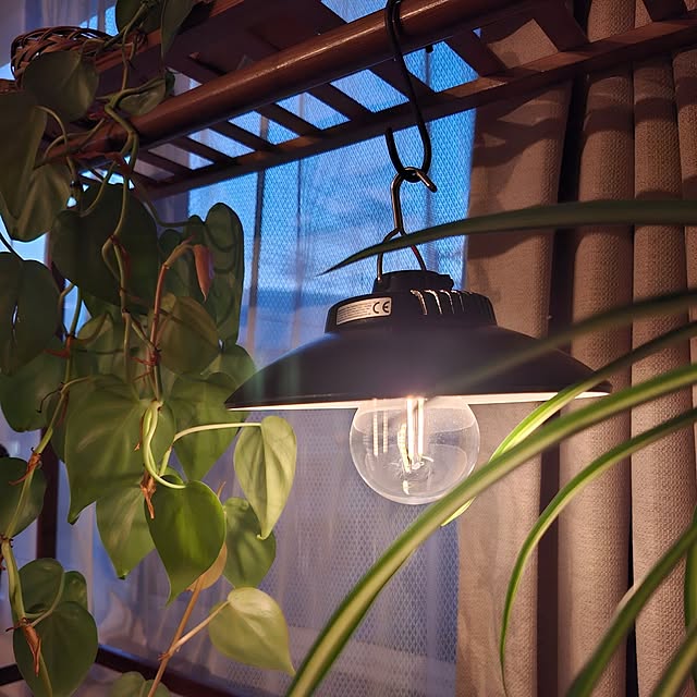 midoriさんの実例写真