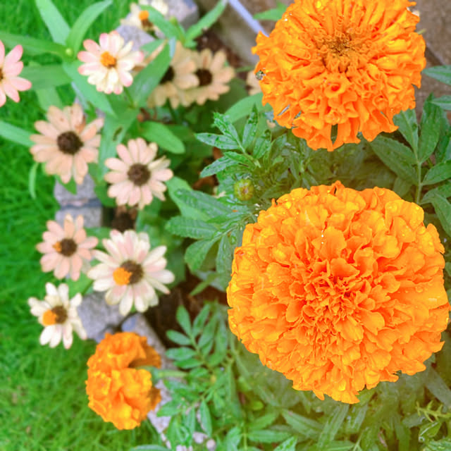 sunabaさんの部屋