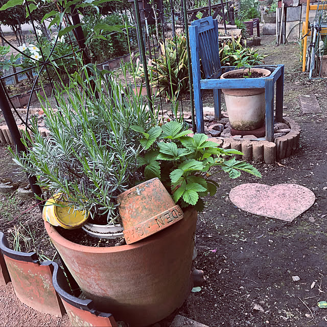 kumako0147さんの実例写真