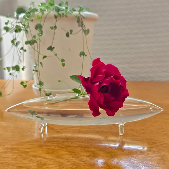 mayumiさんの実例写真